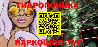 гашик Обнинск
