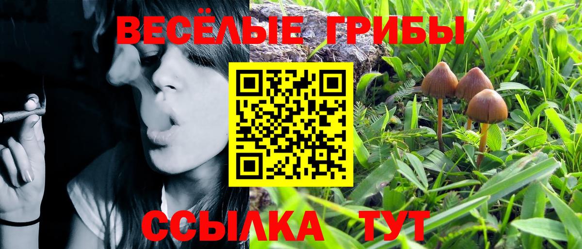Метадон Губаха